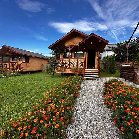 Baltina Parc Transfagarasan Villa Curtea De Arges Luaran gambar