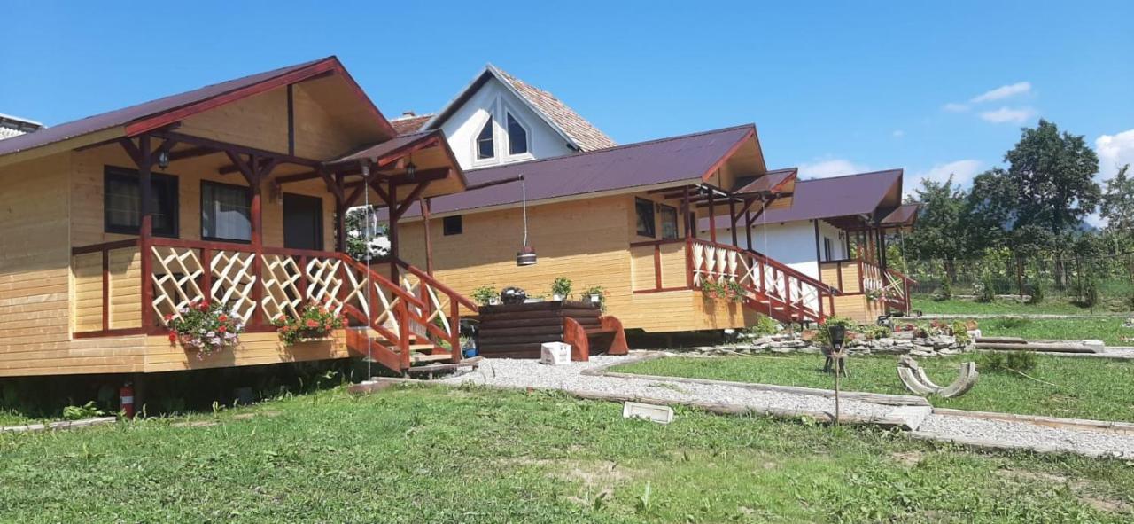 Baltina Parc Transfagarasan Villa Curtea De Arges Luaran gambar