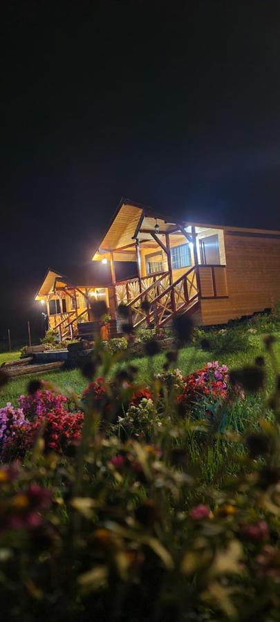 Baltina Parc Transfagarasan Villa Curtea De Arges Luaran gambar