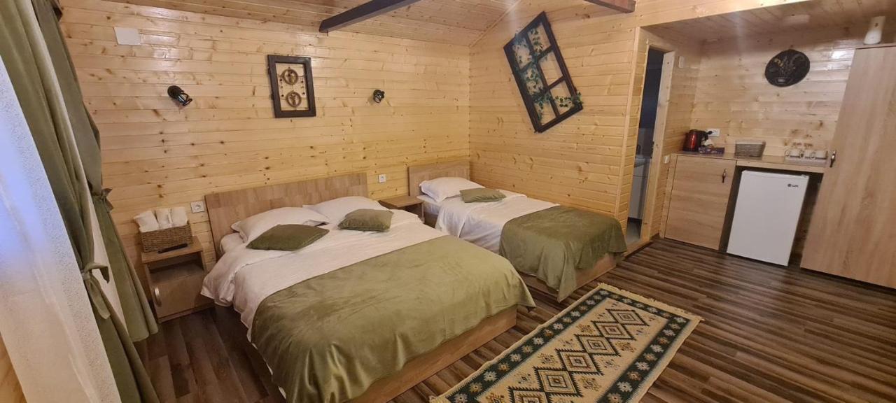 Baltina Parc Transfagarasan Villa Curtea De Arges Luaran gambar