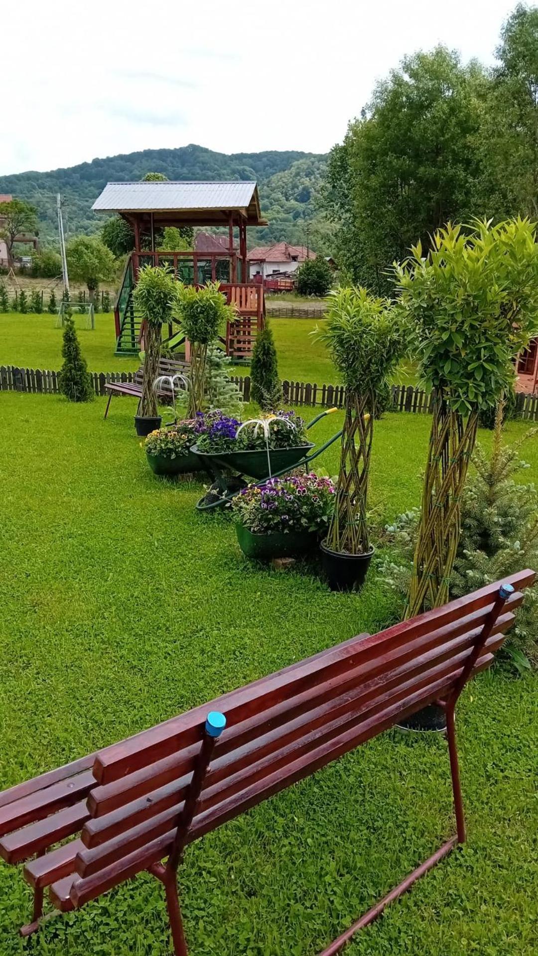 Baltina Parc Transfagarasan Villa Curtea De Arges Luaran gambar